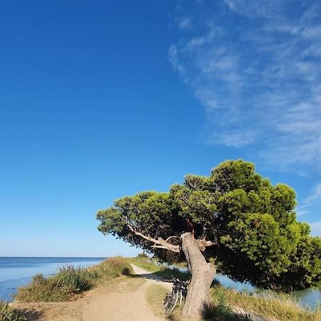 T2 Cosy A La Plage, Terrasse Vue Sur Mer Et Parking Privatif Narbonne Dış mekan fotoğraf