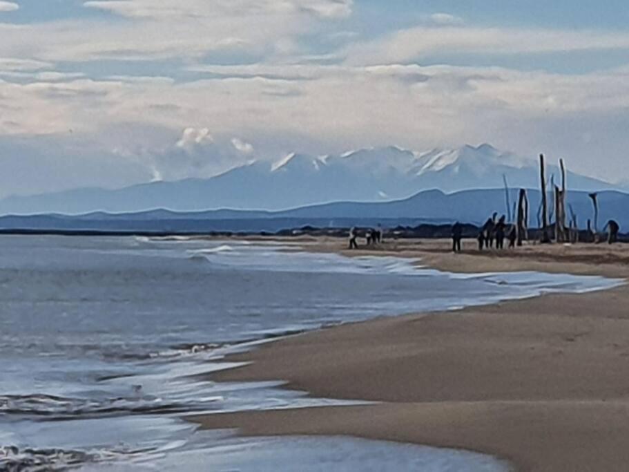 T2 Cosy A La Plage, Terrasse Vue Sur Mer Et Parking Privatif Narbonne Dış mekan fotoğraf