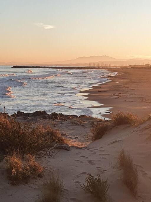 T2 Cosy A La Plage, Terrasse Vue Sur Mer Et Parking Privatif Narbonne Dış mekan fotoğraf