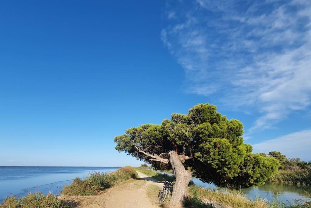 T2 Cosy A La Plage, Terrasse Vue Sur Mer Et Parking Privatif Narbonne Dış mekan fotoğraf